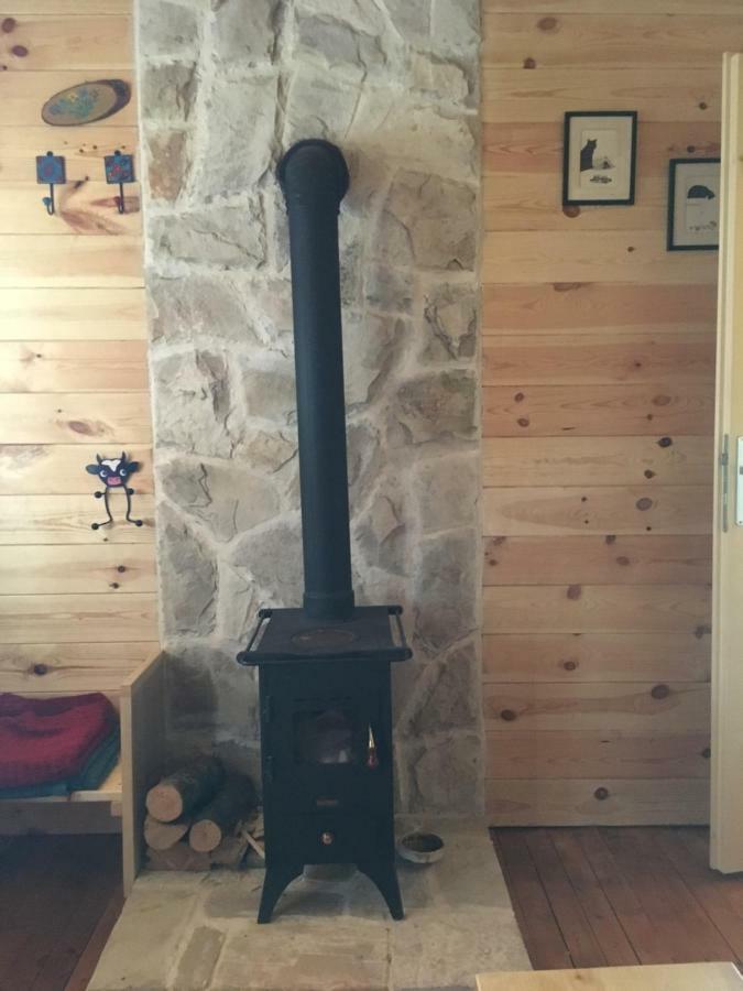 Cozy Cabin Žabljak Kültér fotó